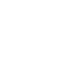 Bosy